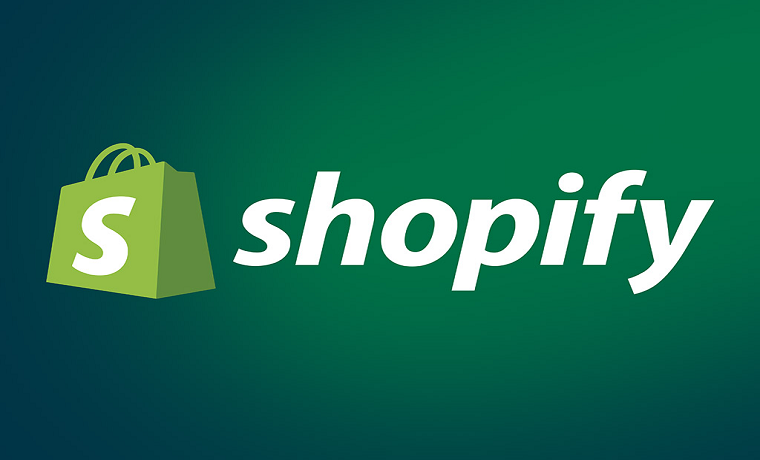 Unleashing the Power of Shopify Pro