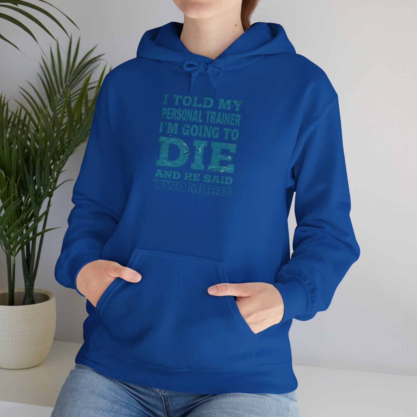 Funny - I Told My Personal Trainer That I'm Going To Die And He Said Two More!  - Design - Workout Hoodie - Sizes - S - 5XL - Gym Humor Sweatshirt - Personal Trainer Gift - Fitness Motivational Apparel