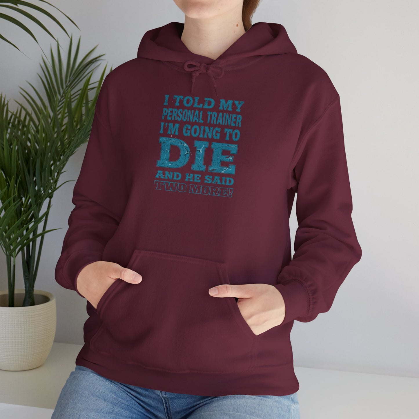 Funny - I Told My Personal Trainer That I'm Going To Die And He Said Two More!  - Design - Workout Hoodie - Sizes - S - 5XL - Gym Humor Sweatshirt - Personal Trainer Gift - Fitness Motivational Apparel