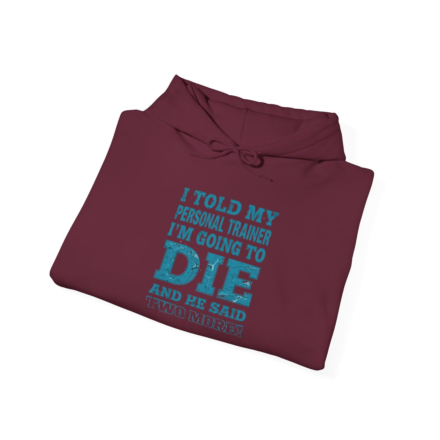 Funny - I Told My Personal Trainer That I'm Going To Die And He Said Two More!  - Design - Workout Hoodie - Sizes - S - 5XL - Gym Humor Sweatshirt - Personal Trainer Gift - Fitness Motivational Apparel