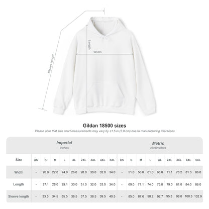 Blessed Hoodie – Patriotic Red, White & Blue Unisex Pullover Sweatshirt with Front & Back Print – Cozy, Positive Vibes Gift