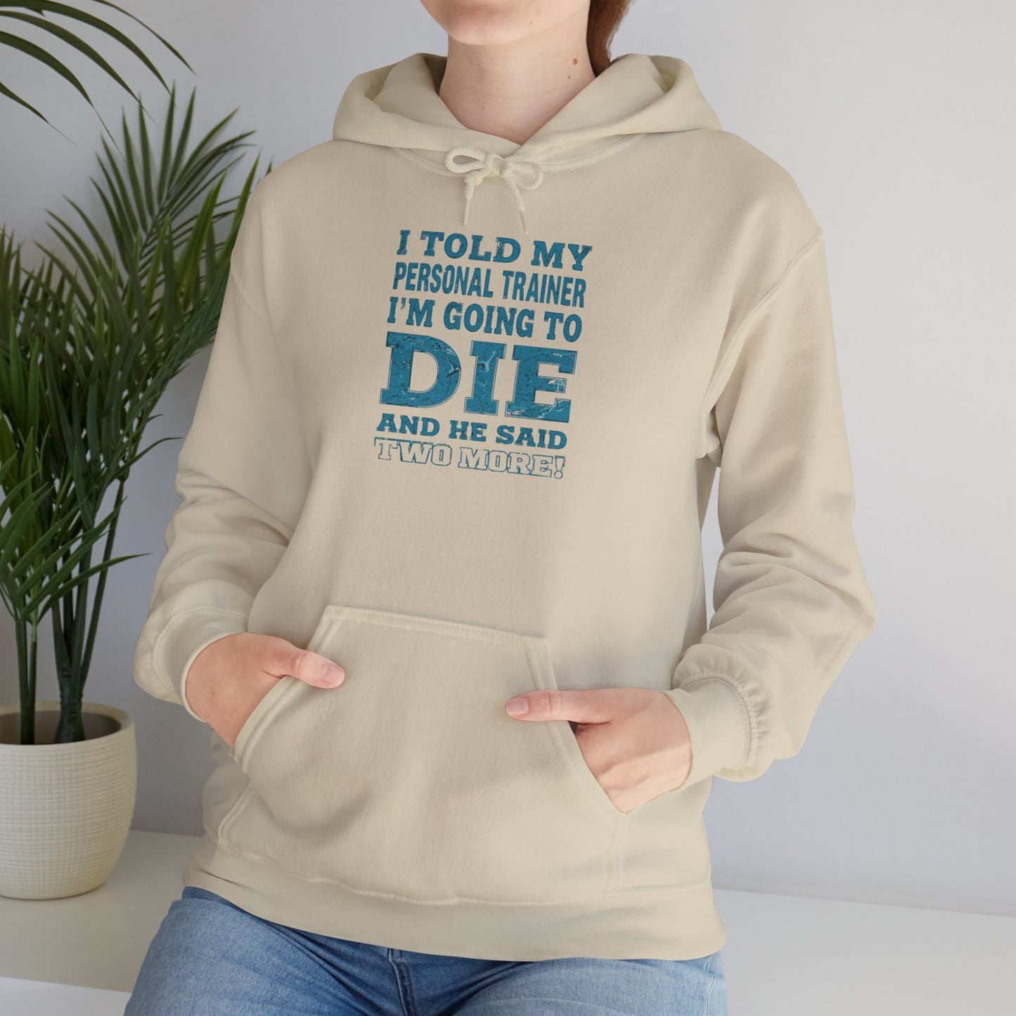 Funny - I Told My Personal Trainer That I'm Going To Die And He Said Two More!  - Design - Workout Hoodie - Sizes - S - 5XL - Gym Humor Sweatshirt - Personal Trainer Gift - Fitness Motivational Apparel