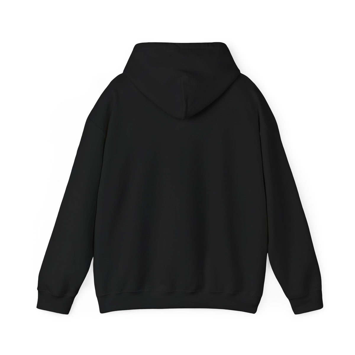 A black pullover hoodie shown from the back, photographed flat against a solid white background.