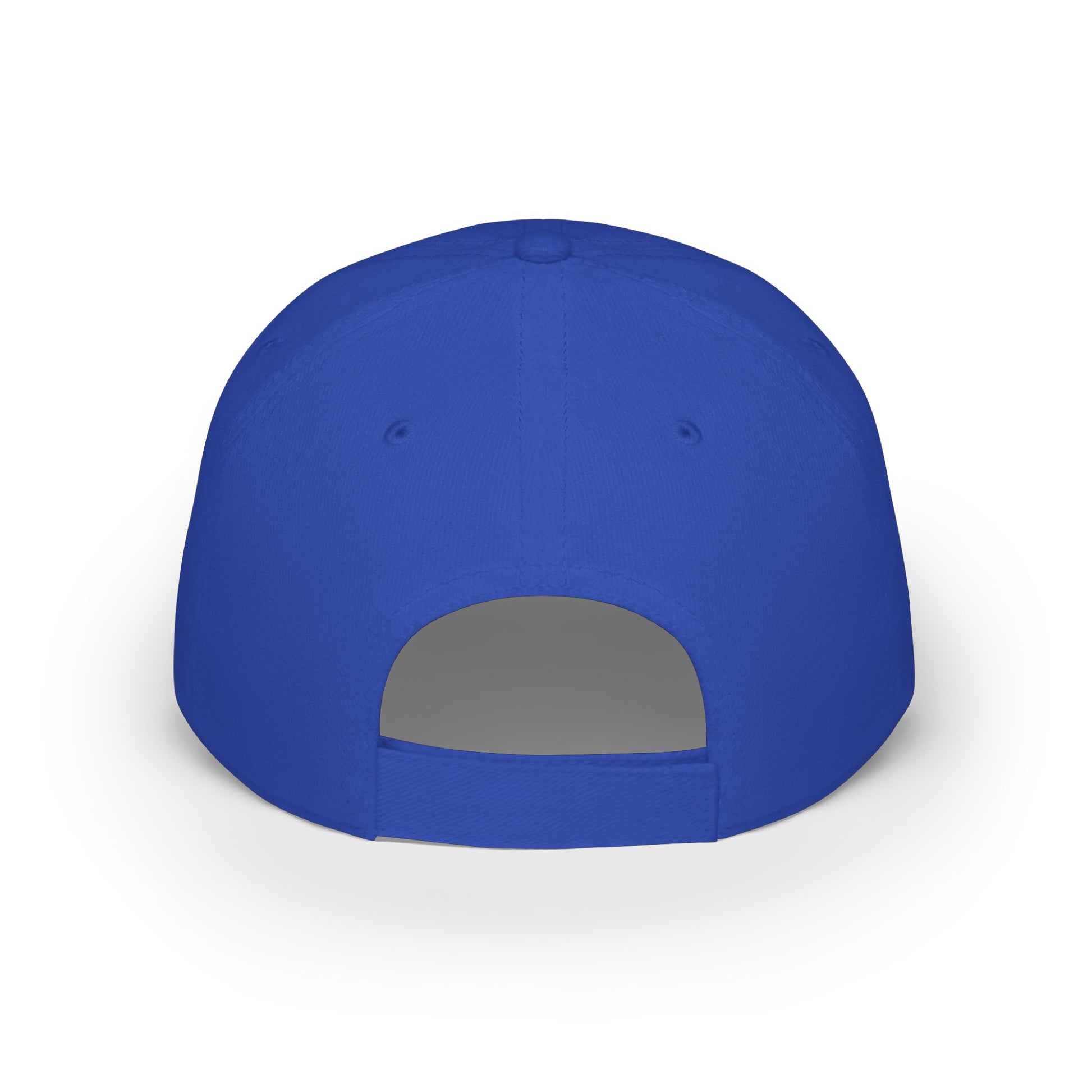 Blue baseball cap view from behind against a clean white background.